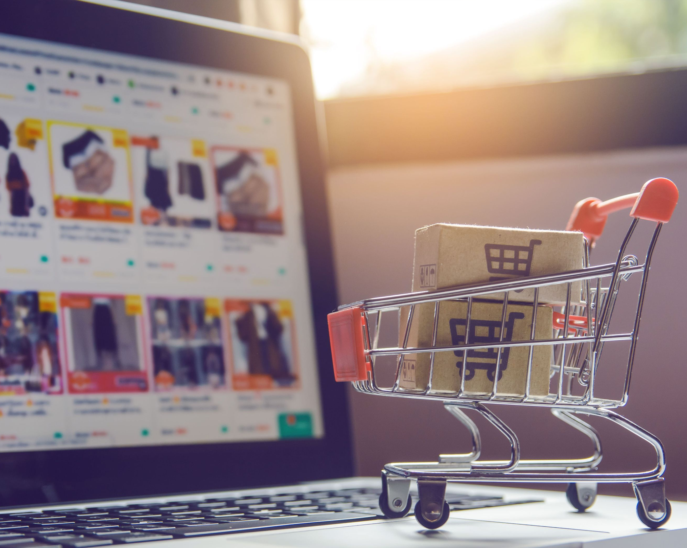 how-to-start-profitable-business-on-amazon-with-professional-fba-company