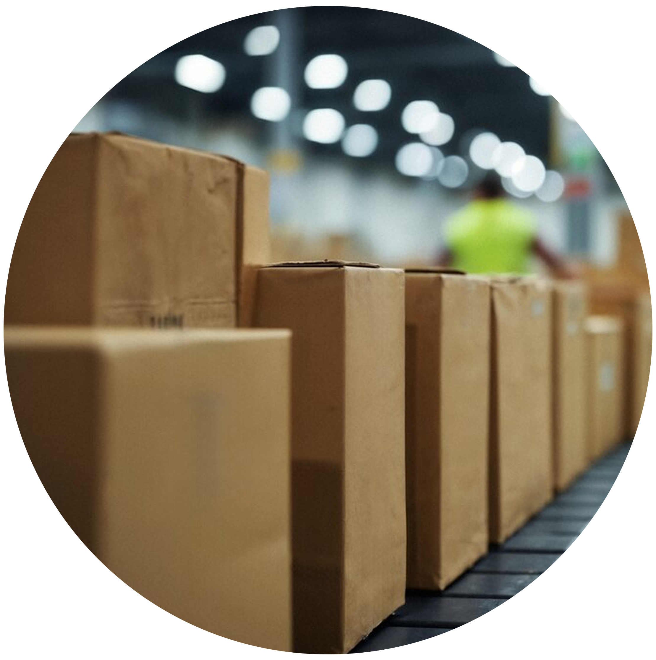 reliable-agency-for-fba-automation-service